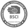 BSCI logo